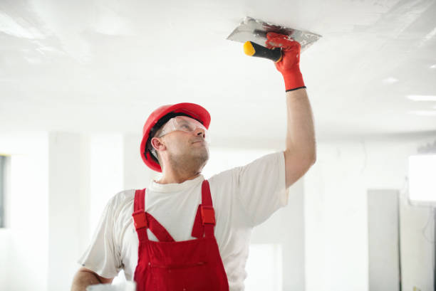 Best Drywall Crack Repair  in Grosse Pointe Park, MI